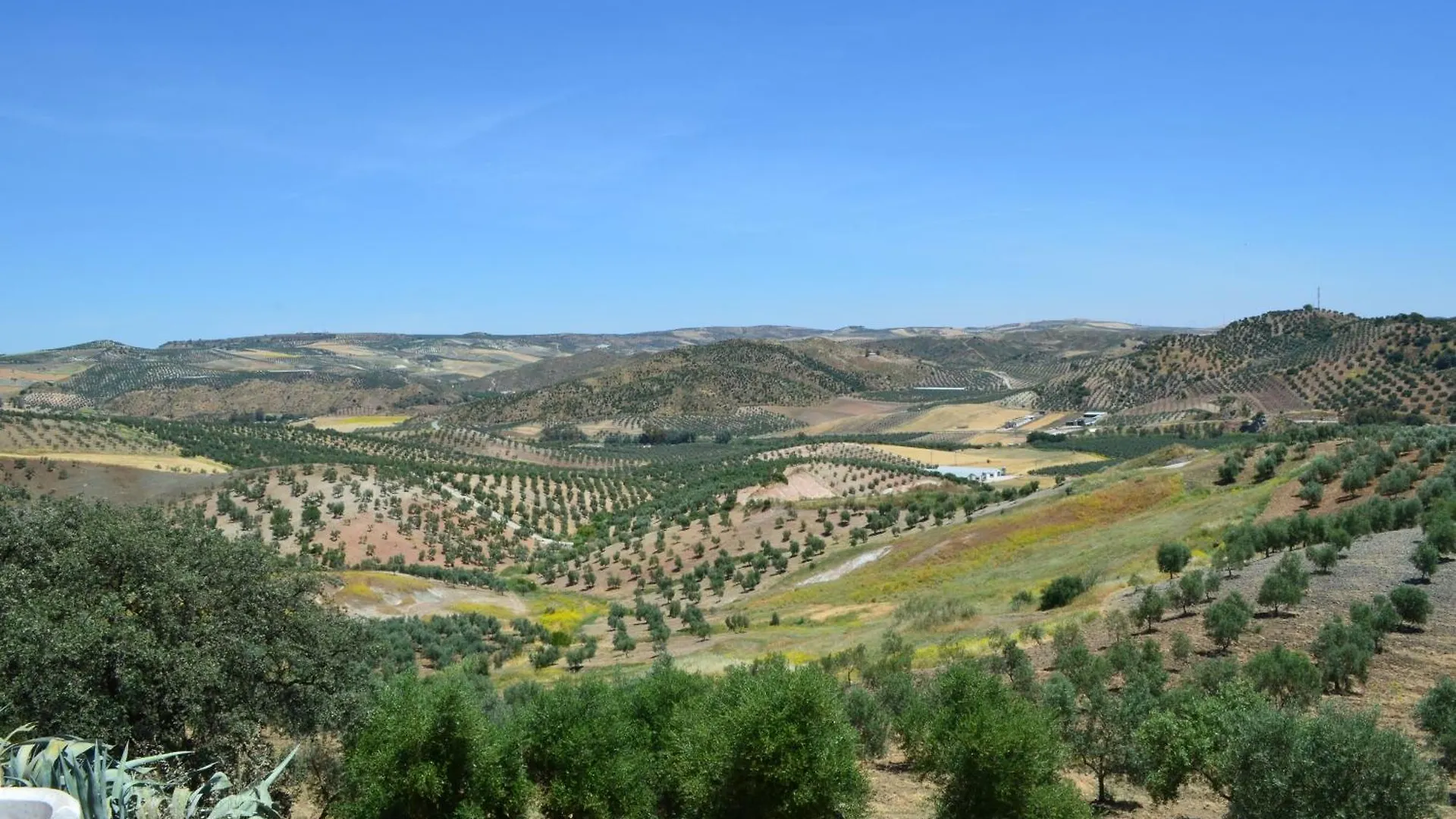 Cortijo Rosario Bed & Breakfast Algamitas