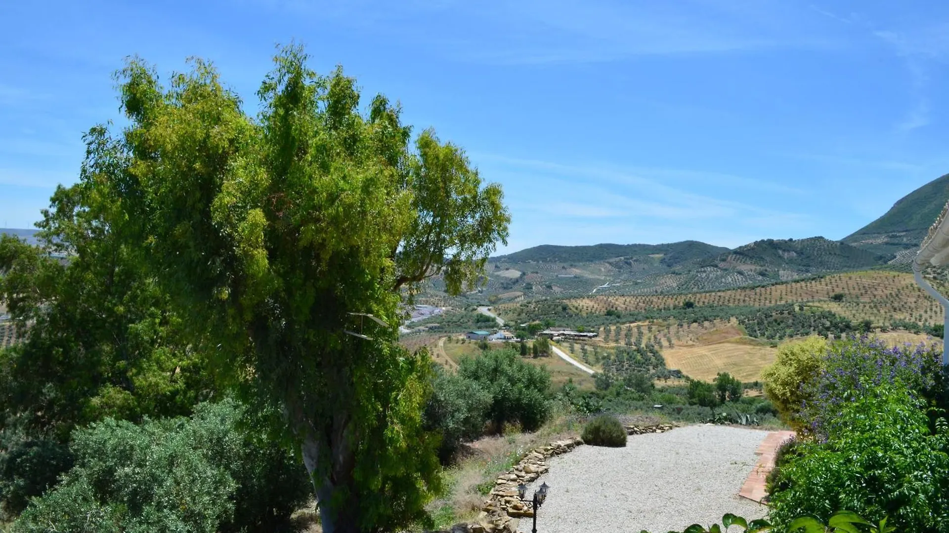 Cortijo Rosario Bed & Breakfast Algamitas